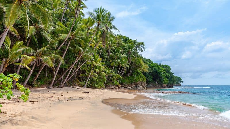 A tropical beach with golden sand, leaning palm trees, and a clear blue sky. Waves are gently crashing on the shore, with lush green foliage in the background, creating a serene contrast to the complexity of Country-by-Country Reporting Regulations.